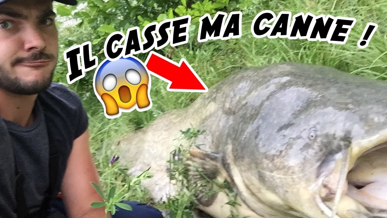 SILURE GEANT au leurre du bord