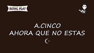 Ahora que no estas - A.Cinco (Karaoke)