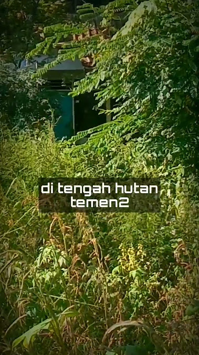 Rumah Mewah 2 Lantai Terbengkalai Ditengah Hutan