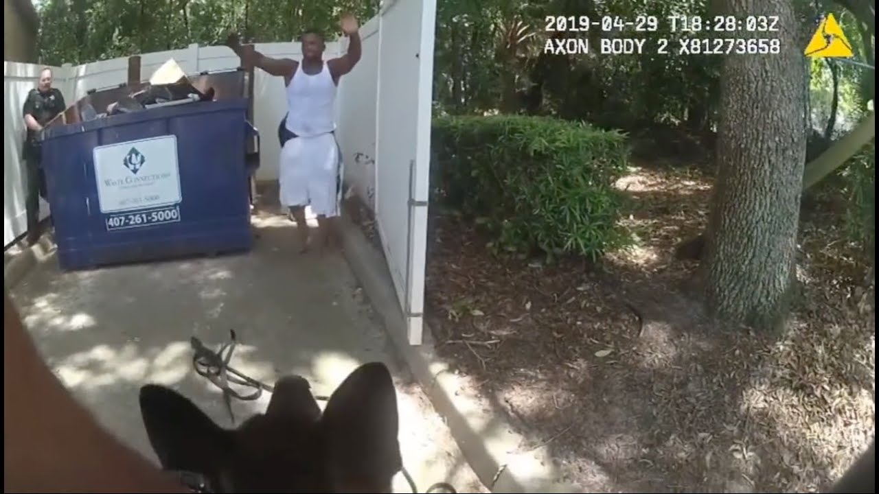 Body cam shows Police Dog helping officers track down fleeing car ...