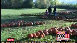 The Great Pumpkin Train