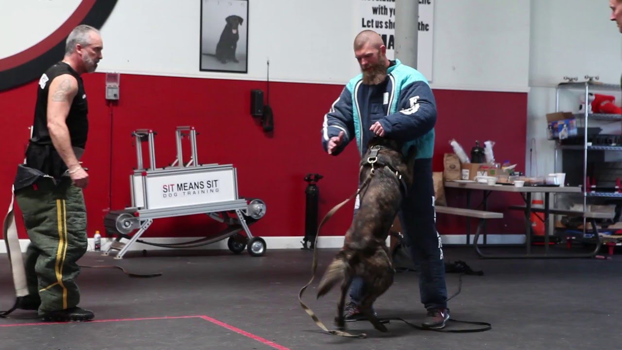 Preconference 2016 Protection Training | SitMeansSit.com