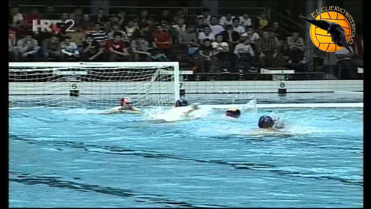 Dragan Draskovic Skill & backhand water polo