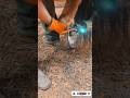The Largest Hoof I Have Ever Had To Trim. Horse Restoration Front Hooves.
