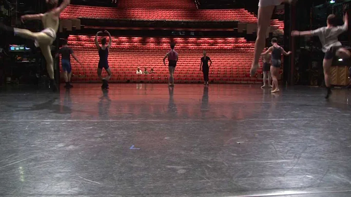 The Four Temperaments: An expert's eye