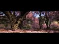 My First Look At Forza Horizion 6
