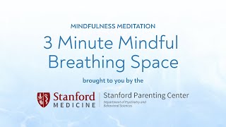 3 Minute Mindful Breathing Space
