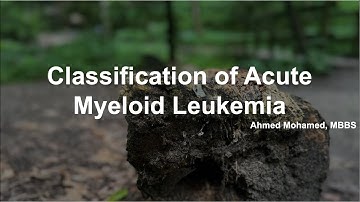Comprehensive Classification of Acute Myeloid Leukemia (AML)