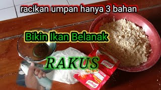 Umpan Ikan Belanak Hanya Tiga Bahan Udah Bikin Keteteran