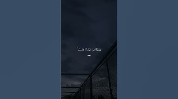 ‏{ وَمَنْ يَتَّقِ اللَّهَ يَجْعَلْ لَهُ مَخْرَجًا } #سورة_الطلاق  #ماهر_المعيقلي  #قرآن