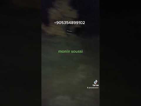 ٢١ مارس ٢٠٢٣