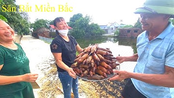 Thui chuột đồng miền Bắc món ăn đặt sản Hải Dương@Săn Bắt Miền Bắc ​