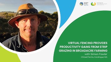 Virtual fencing provides productivity gains from strip grazing in broadacre farming