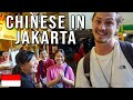 Exploring chinatown in jakarta indonesia