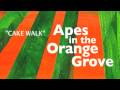 Cake Walk (Audio Only) - Apes in the Orange Grove