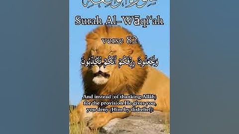 تلاوة عطرة لما تيسر من سورة الواقعة | الشيخ محمد عبدالله الغباتي | فجريات مسجد الحسن، البحرين