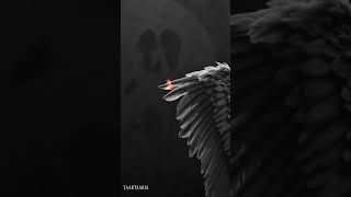 When Fabric Cries #darkart #metalmusic #nightmarevisuals #haunting #metalheadsunite #persian