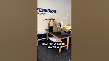 💥Dead Bug Variation Exercises💥