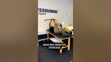 💥Dead Bug Variation Exercises💥