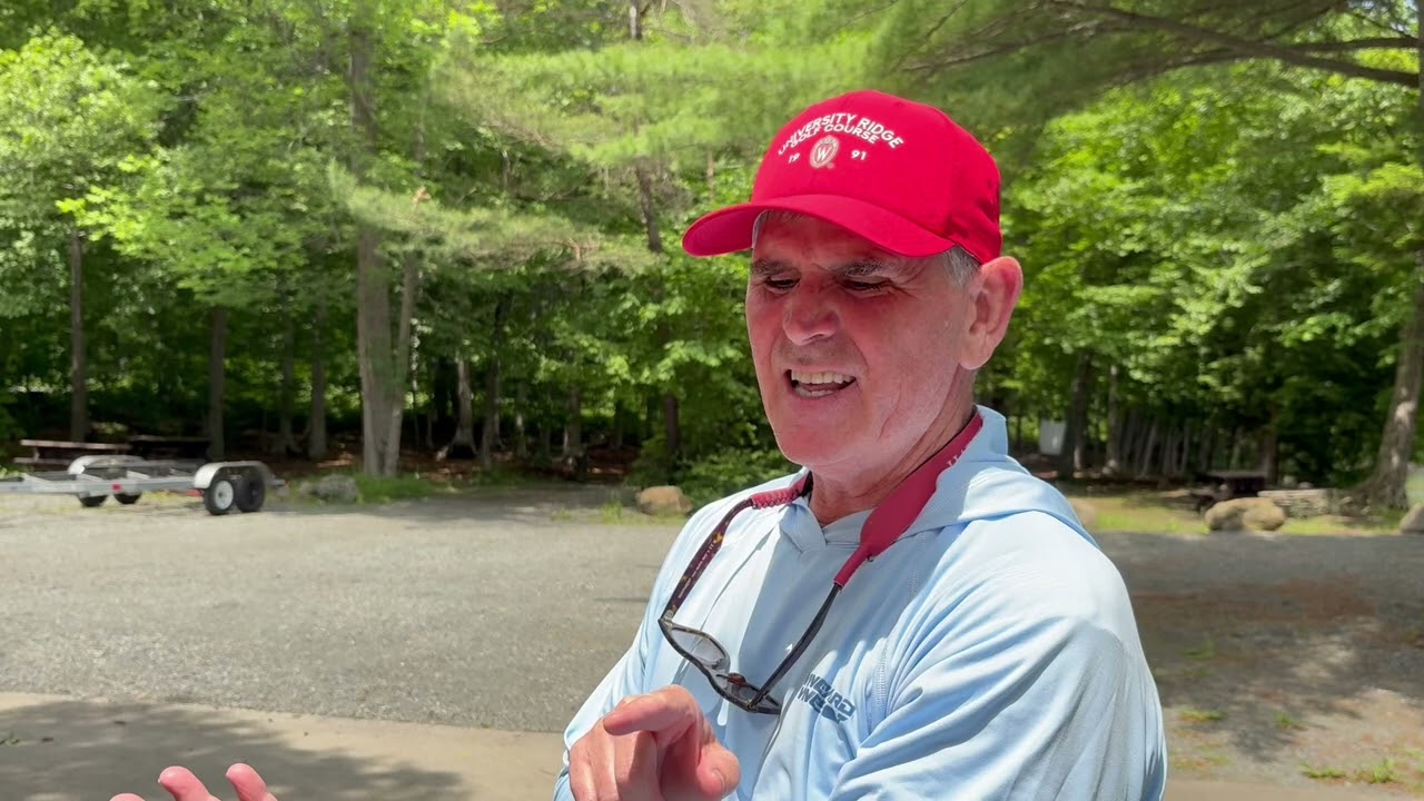 Hover fly at Piseco Lake