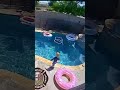1-year-old saved from drowning in pool by dad
