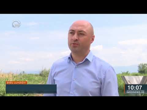 შიდა ქართლში სამელიორაციო ინფრასტრუქტურის სამუშაოები ინტენსიურ რეჟიმში მიმდინარეობს 10:07