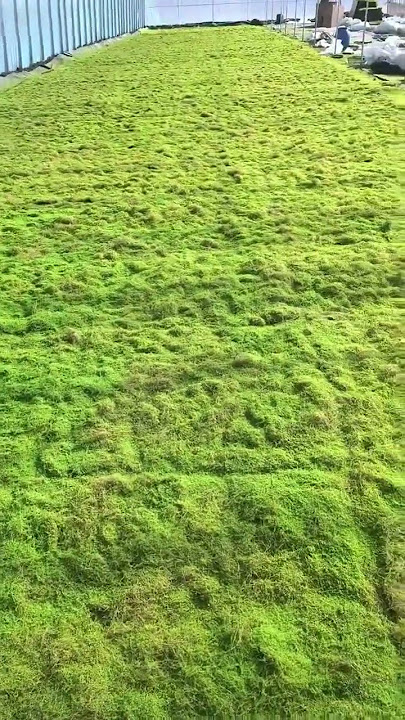 微信视频2025-07-08_172329_526.mp4