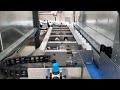 Pacwel Full-automatic Full Height Palletiser