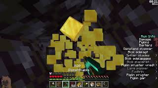 lava housing top down (?)
