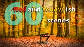 Fall/Autumn - 1 hour timer