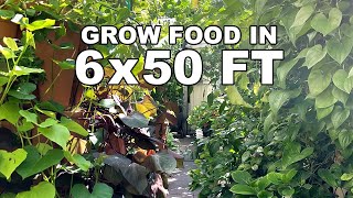 How to Maximize Food Production in Small Space: National Heirloom Expo 2023 by Wendi Phan 2,012 views 7 months ago 33 minutes