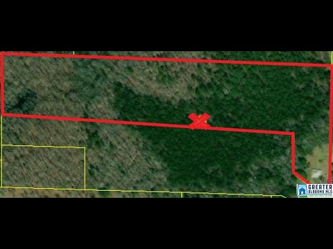 165 CLEVELAND LN, Talladega, AL home video tour