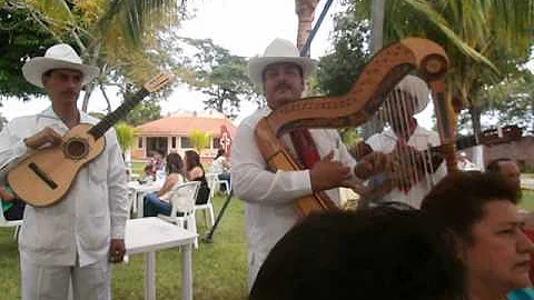Nicolas Ventura arpista alvaradeo en la mixtequill...