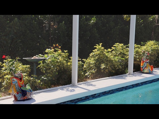 Florida Nature & Pool Backyard Screensaver (ASMR)