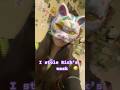 Idk what to post chat #catmask #furry #silly #dontflop #fyp