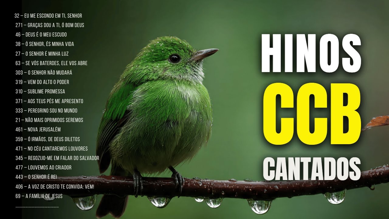 VOCÊ PRECISA OUVIR ISSO HOJE | Hinos CCB de Gratidão 🎶🌿 🙏🎶#hinosccb #ccbhinos
