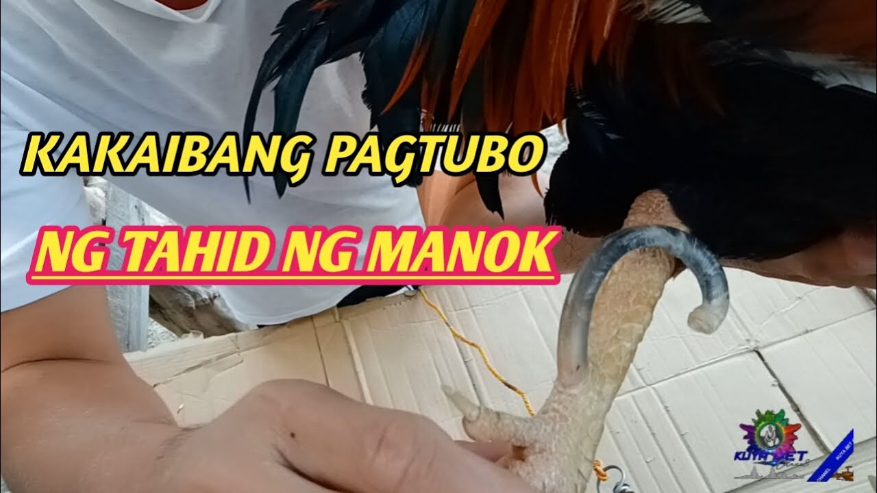 Xotinimning dugonasining külotlari Brianna Beach rus ovozli aktyorlik