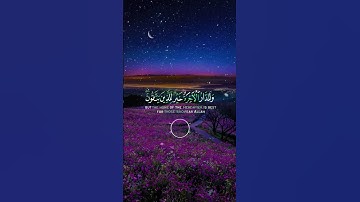📖سورة الأنعام 🎙️شريف مصطفى