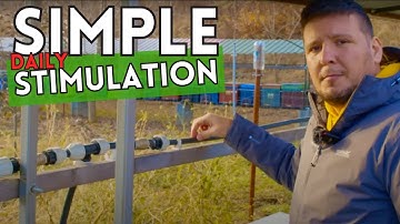 Stimuleer de koloniegroei met eenvoudige dagelijkse stimulatie