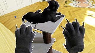 WHAT IT'S LIKE TO BE A CAT IN VR!  Catify VR Gameplay HTC VIVE
