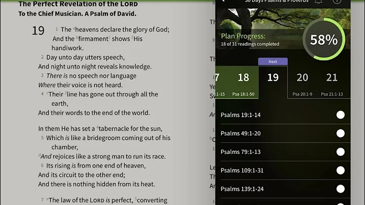 30 Days with the Psalms & Proverbs - Day 19