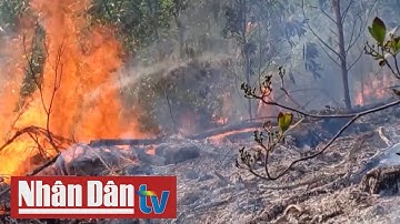 Nghệ An: Cảnh báo nguy cơ cháy rừng cấp V