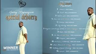 14. Garry Mapanzure - Winner (Special Delivery Album)