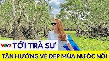 Đắm chìm trong vẻ đẹp đầy mê hoặc mùa nước nổi chỉ có tại rừng tràm Trà Sư, An Giang |VTV2