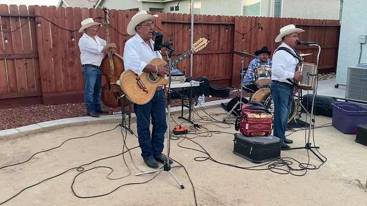 Quisiera ser pajarillo Polvo Norteno con Tololoche...