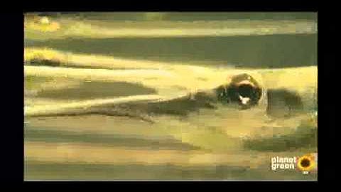 Time Warner Cable Box GLITCH, Cable Box Changes Channels By Itself !