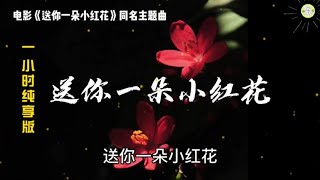 《送你一朵小红花》赵英俊 一小时纯享版同名电影主题曲【高品质音质•动态歌词lyrics】