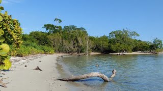4K Virginia Key Park , Beach Walking , Historic Virginia Key Park , Miami FL 2022