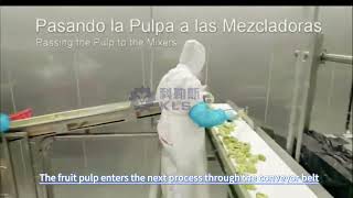 Avocado processing line