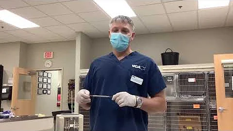 Dental instrument  sharpening with Dr Jason Berkow...